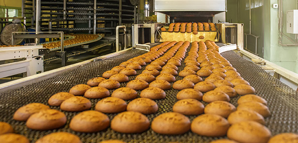 ATUAMOS NO SEGUIMENTO DE ALIMENTICIA