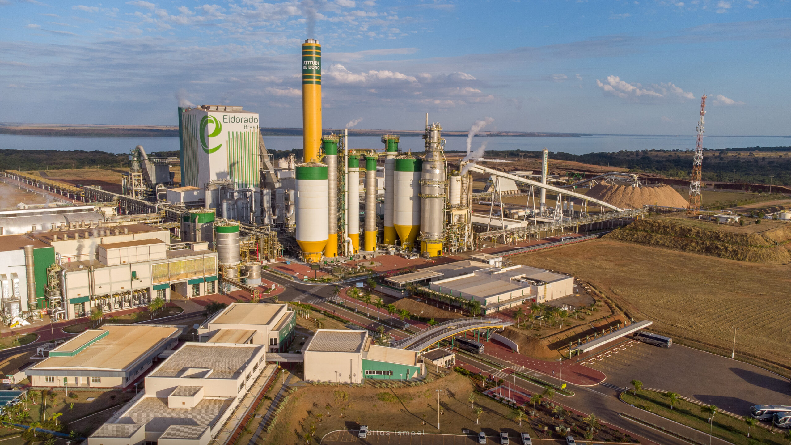 ATUAMOS NO SEGUIMENTO DE PAPEL E CELULOSE